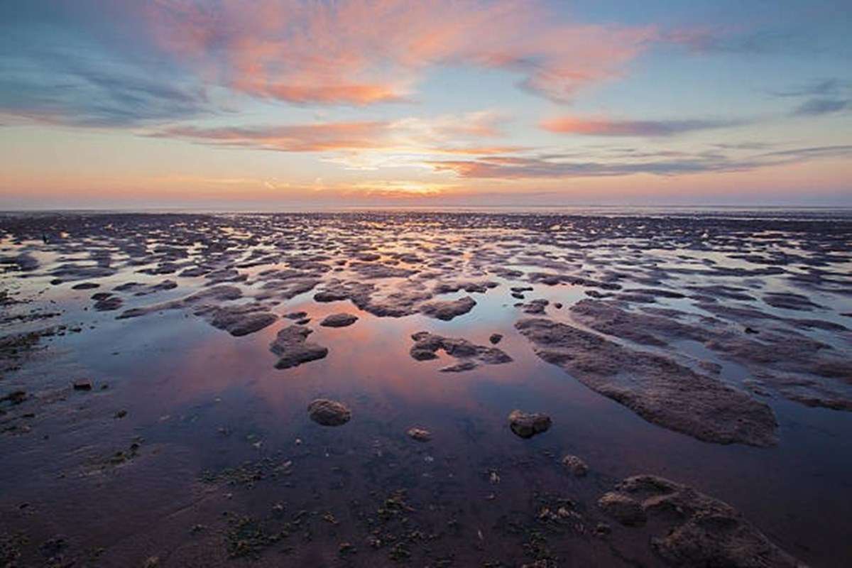 Wadden Sea