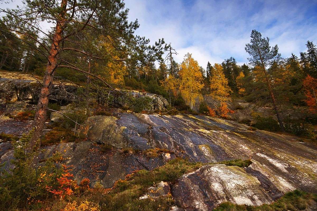 Koli National Park