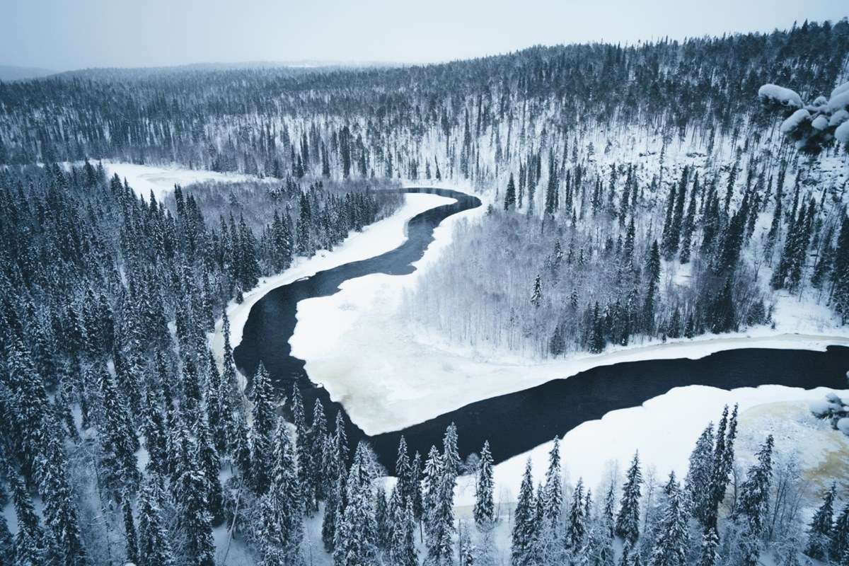 Oulanka National Park