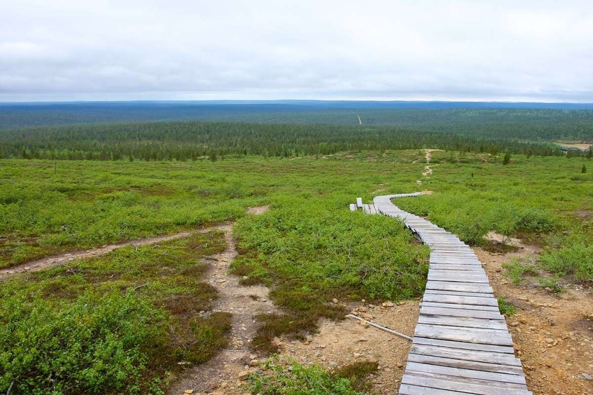 Urho Kekkonen National Park