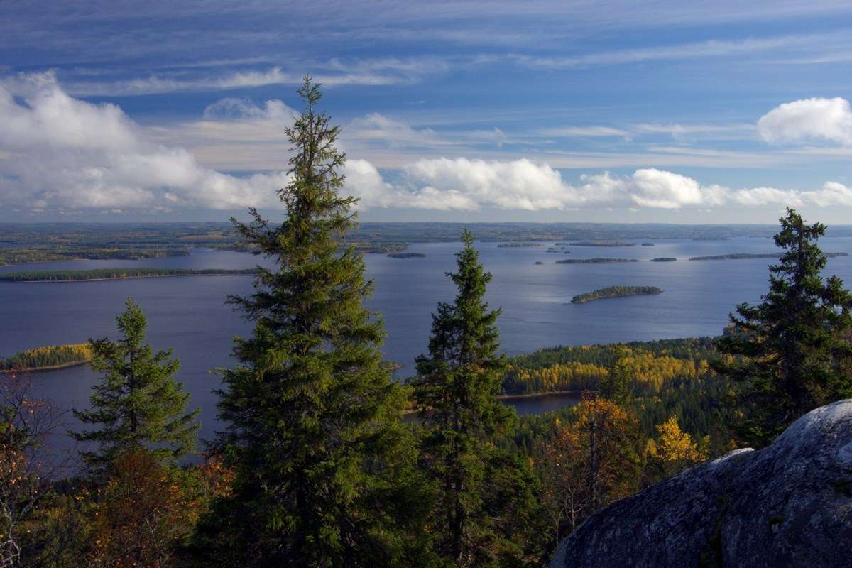 Koli National Park