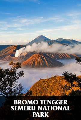 Bromo Tengger Semeru National Park