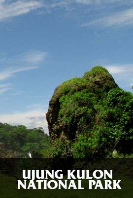 Ujung Kulon National Park