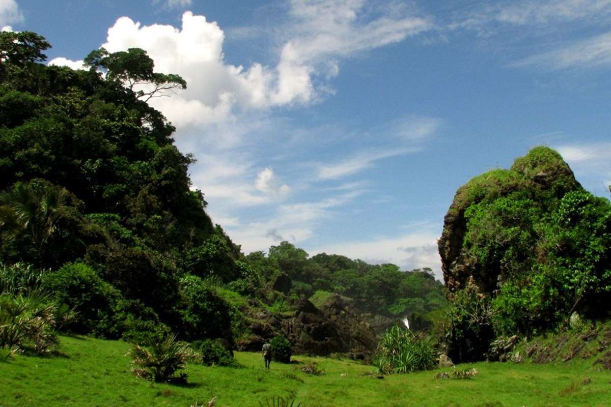 Ujung Kulon National Park