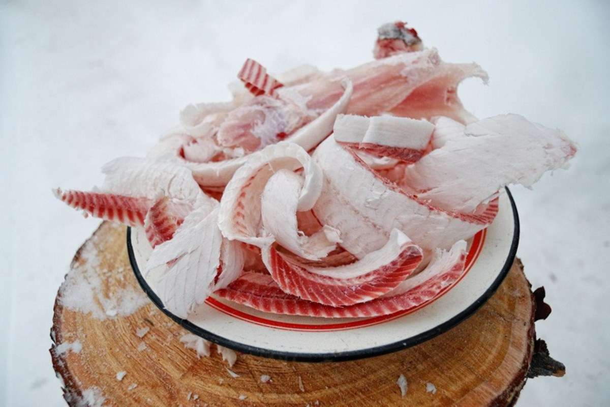 The Art Of Yakut Cuisine 