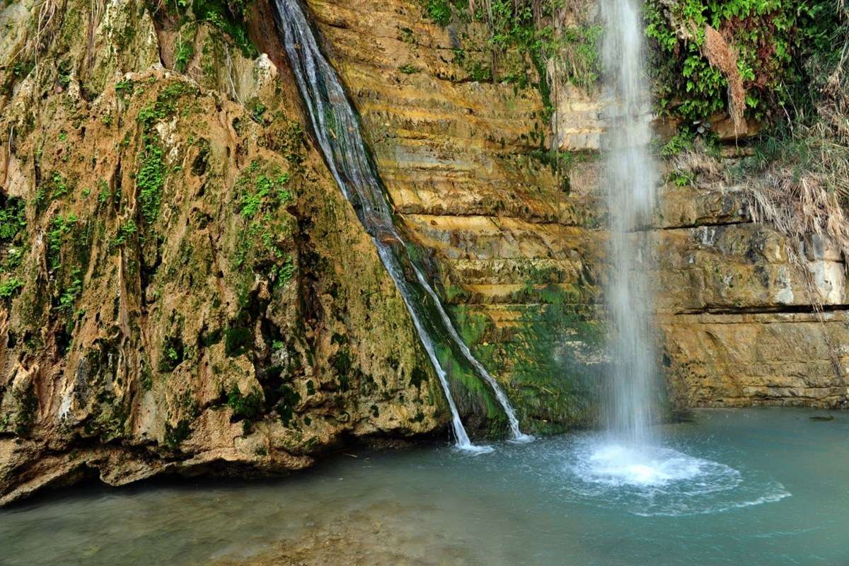 Ein Gedi Nature Reserve