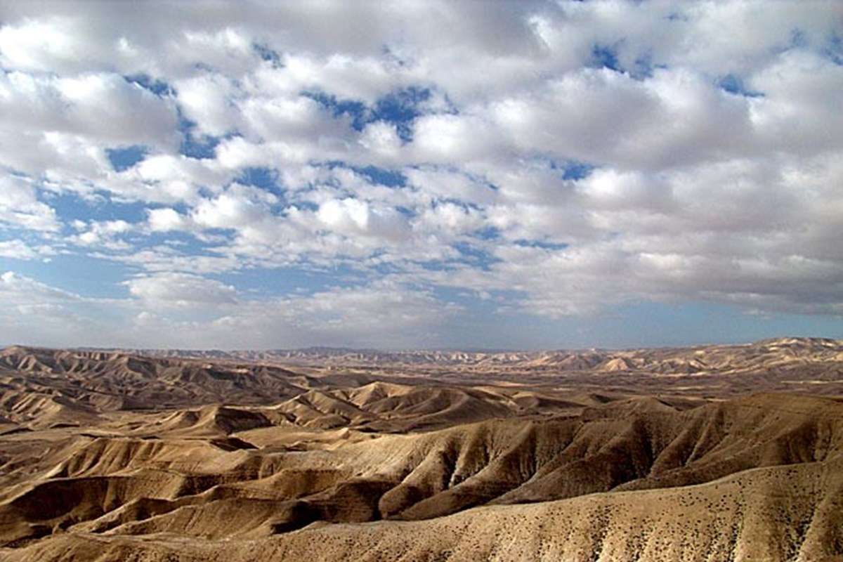 Judean Desert