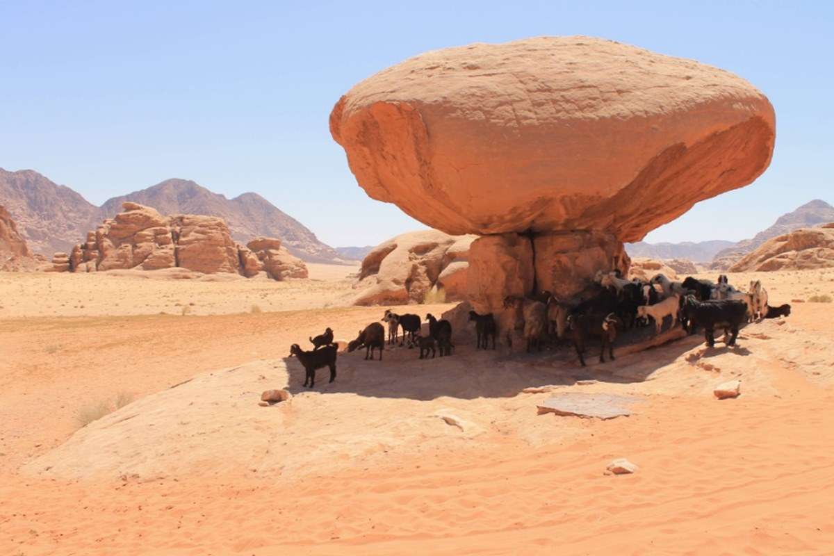 Wadi Rum