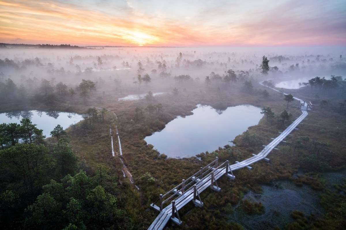 Kemeri National Park