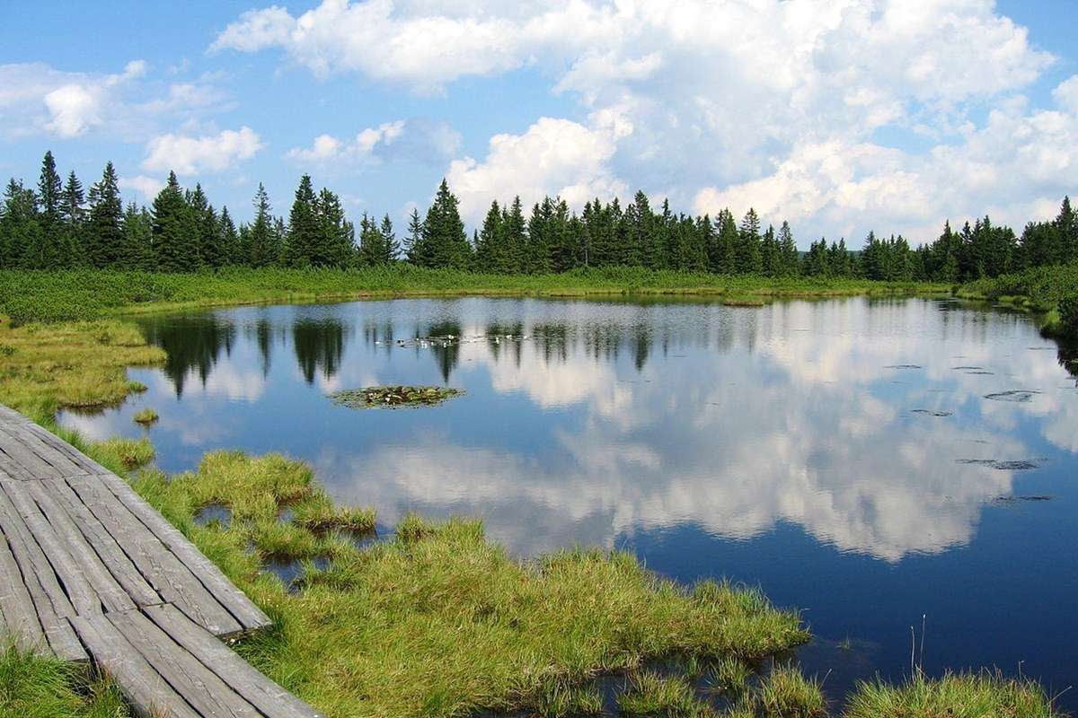 Dzukija National Park