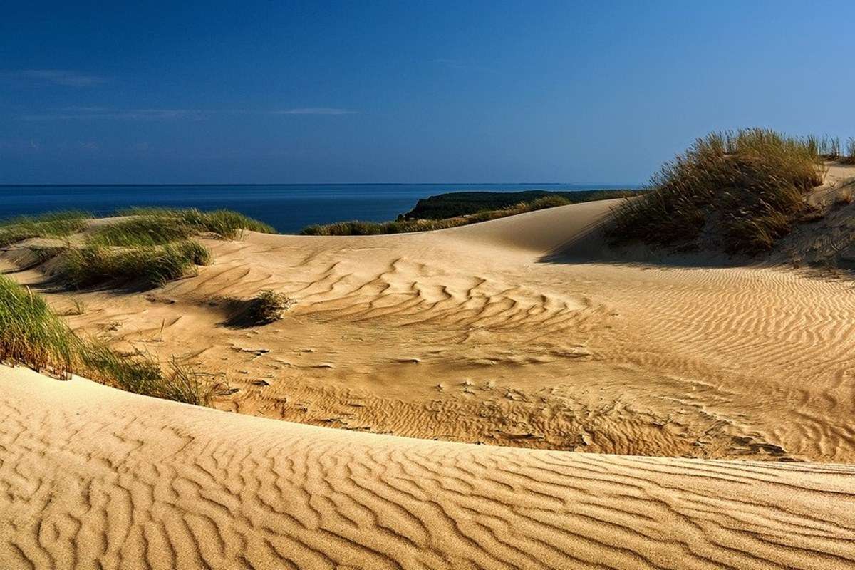 The Dead Dunes