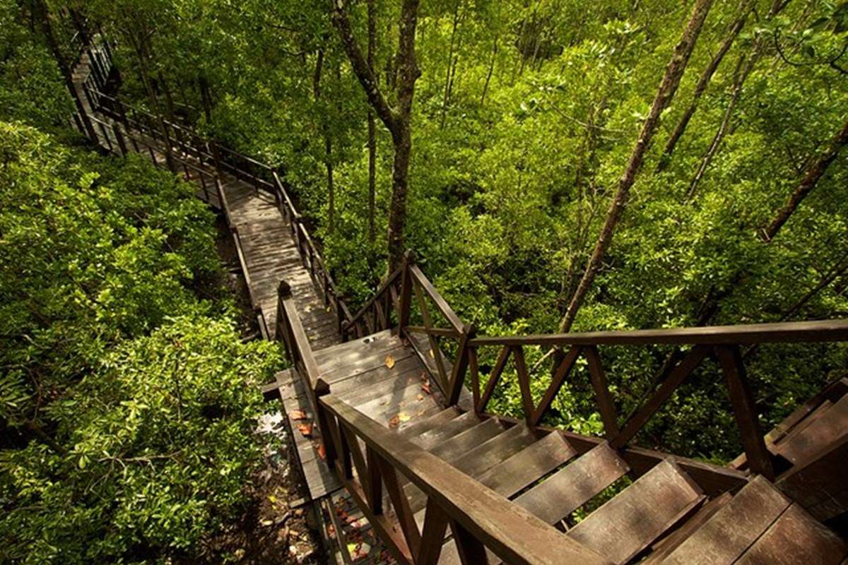 Taman Negara National Park