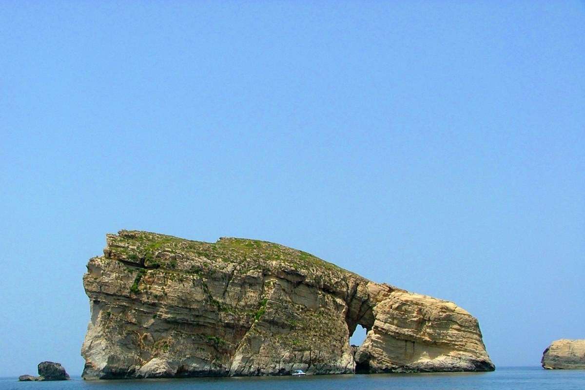 Fungus Rock