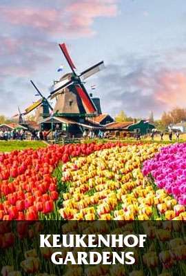 Keukenhof Gardens