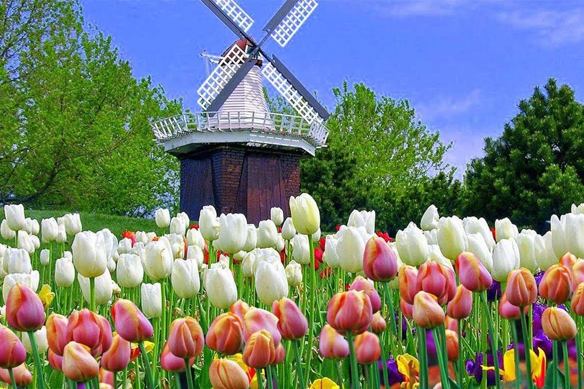 Keukenhof Gardens