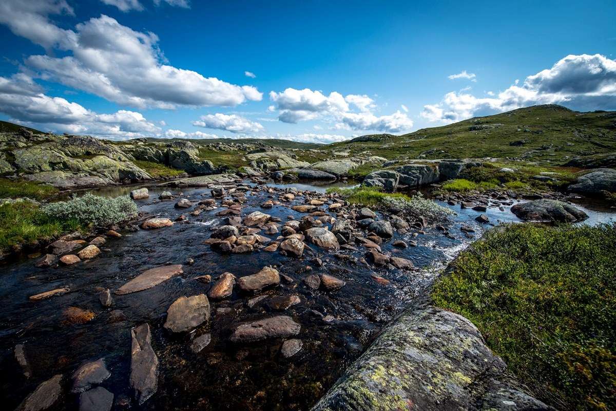 Hardangervidda