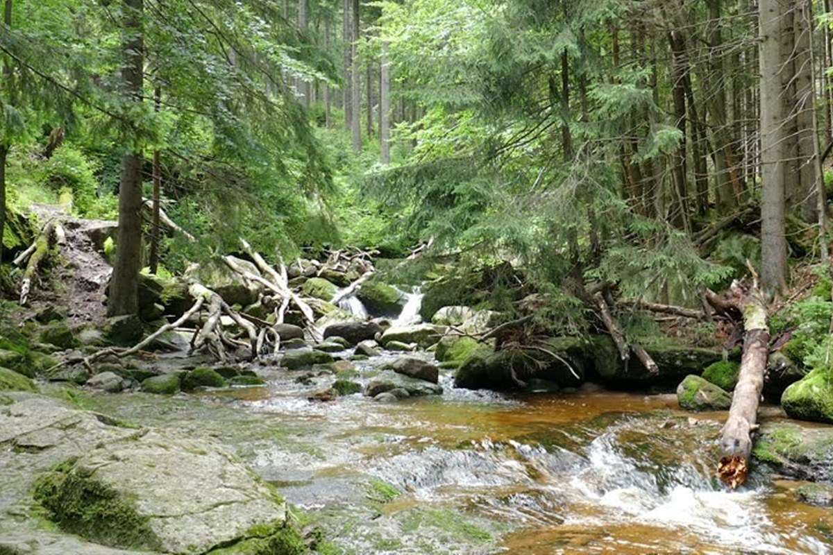 Karkonoski National Park