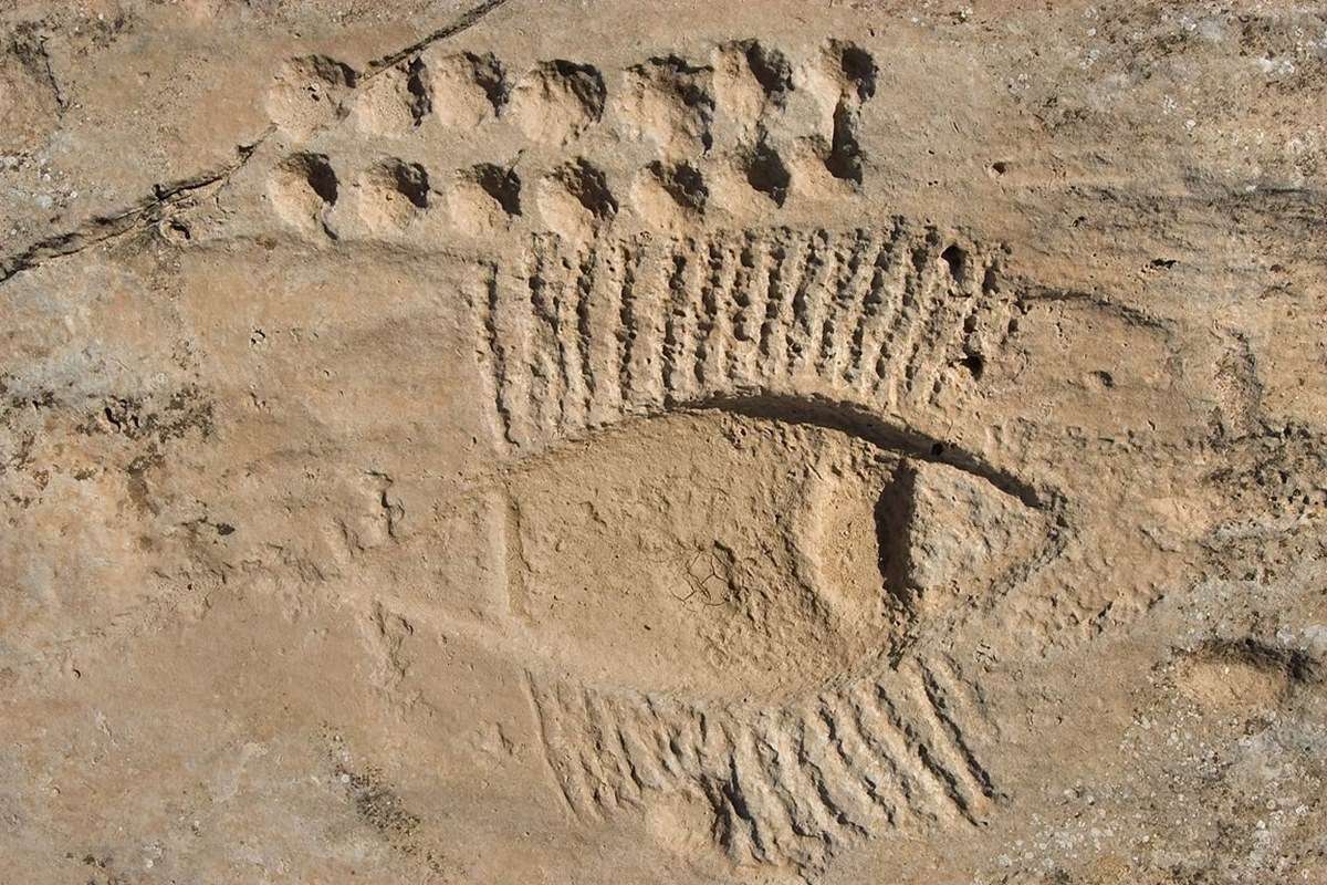 Al Jassasiya rock carvings