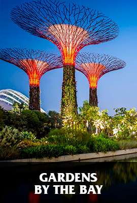 Gardens by the Bay