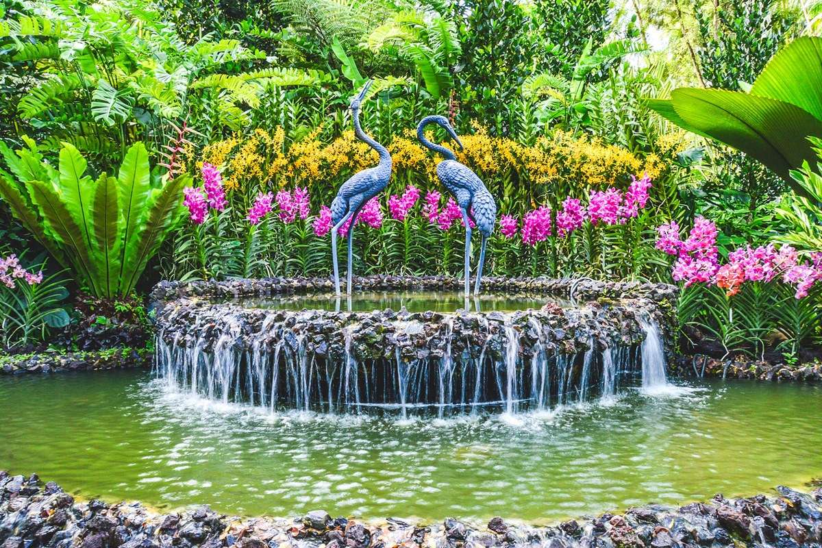 Singapore Botanic Gardens