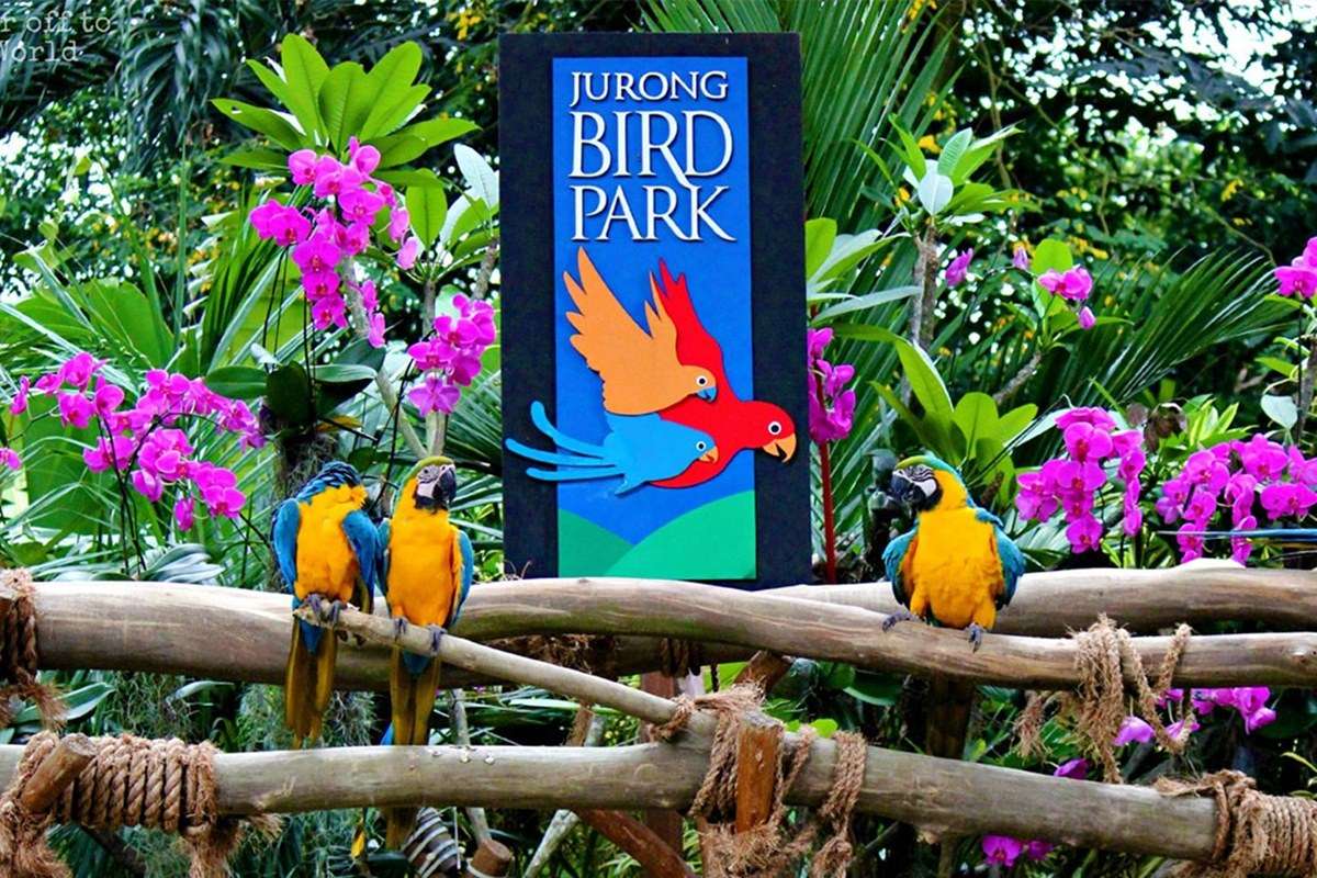 Jurong Bird Park