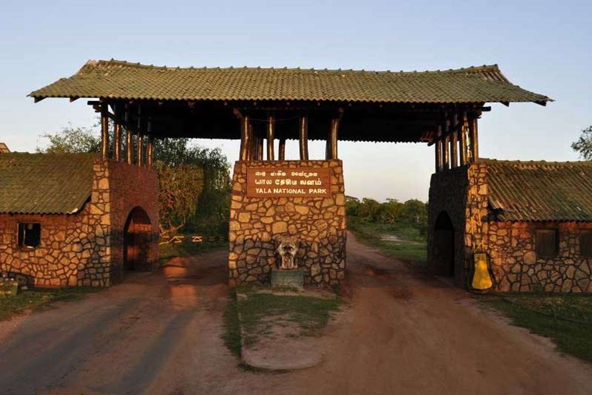 Yala National Park