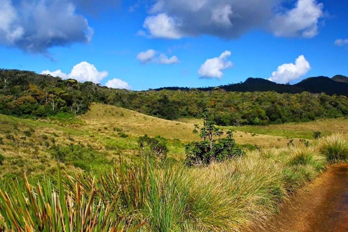 Horton Plains National Park