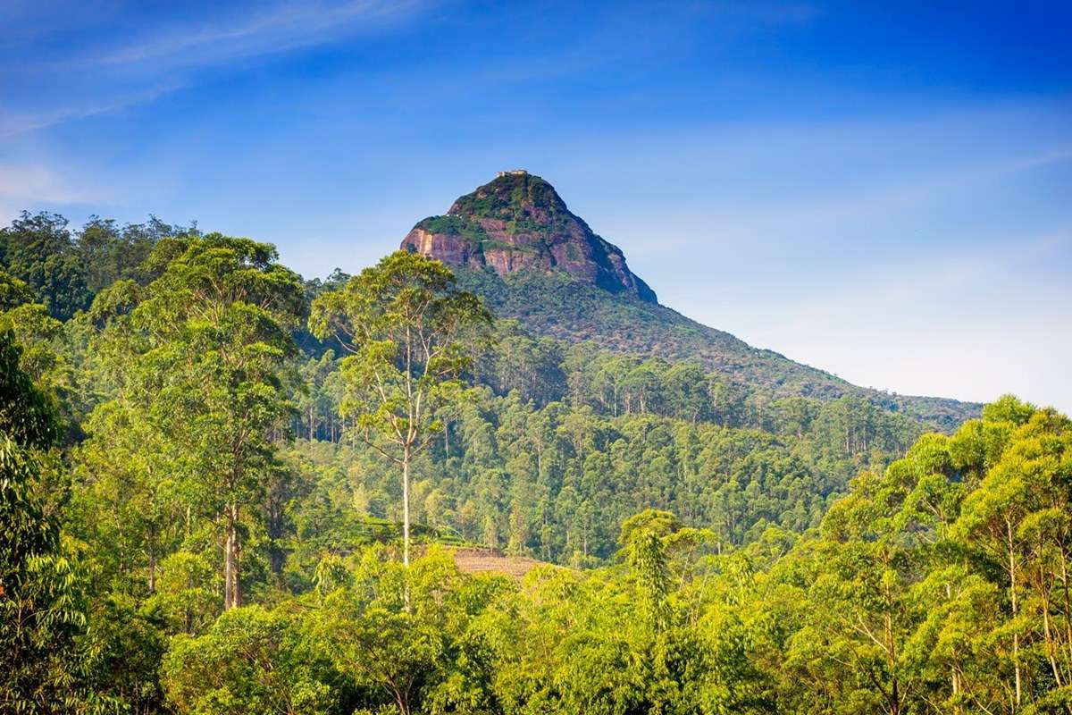 Adam's Peak