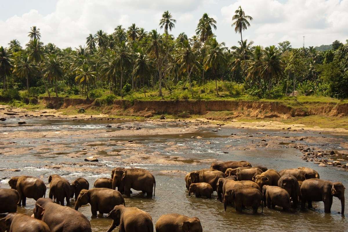 Udawalawe National Park