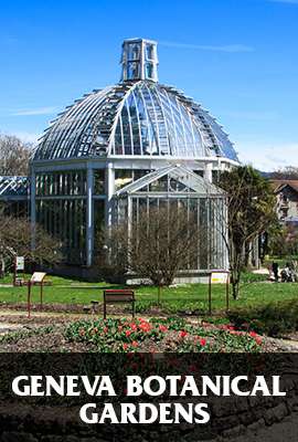 Geneva Botanical Gardens 