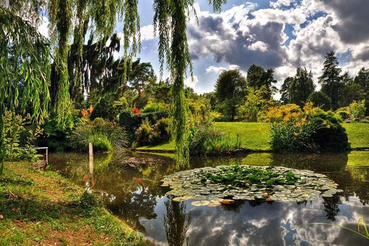 Geneva Botanical Gardens 