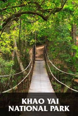 Khao Yai National Park