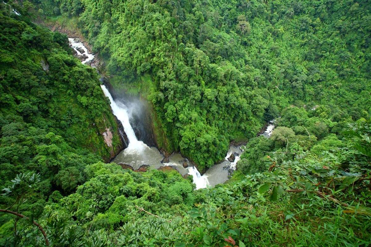 Khao Yai National Park