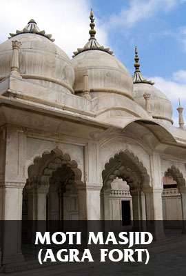 Moti Masjid (Agra Fort)