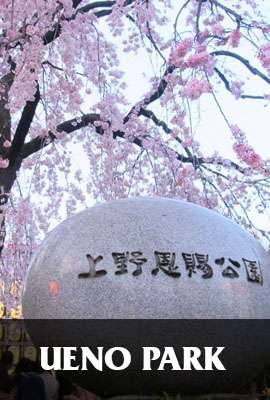 Ueno Park