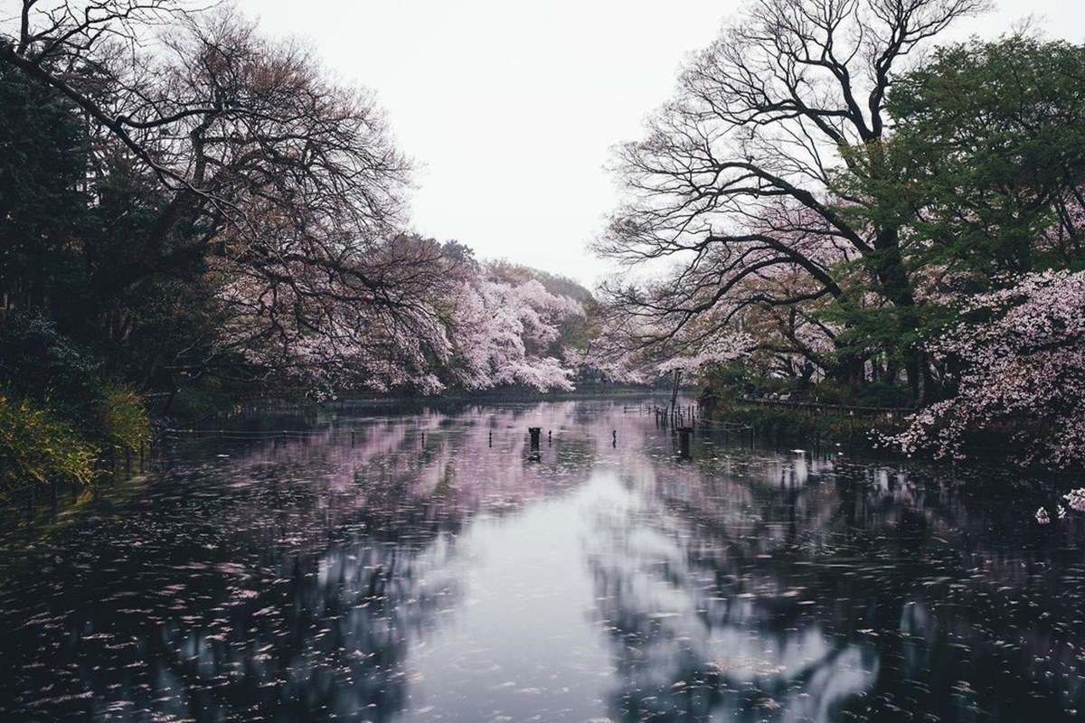 Ueno Park