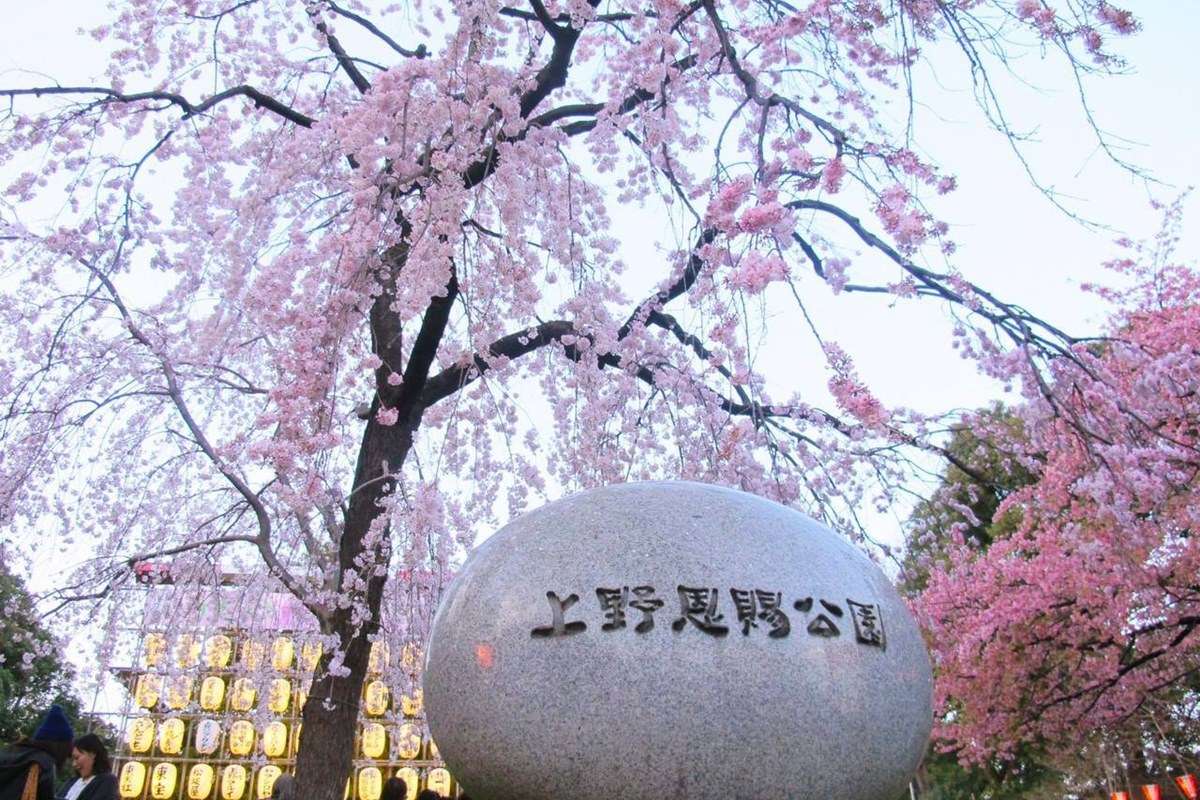 Ueno Park